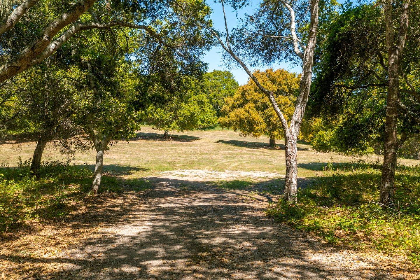 3 Corral Run, CARMEL, California 93923, ,Lots And Land,For Sale,Corral Run,40964267