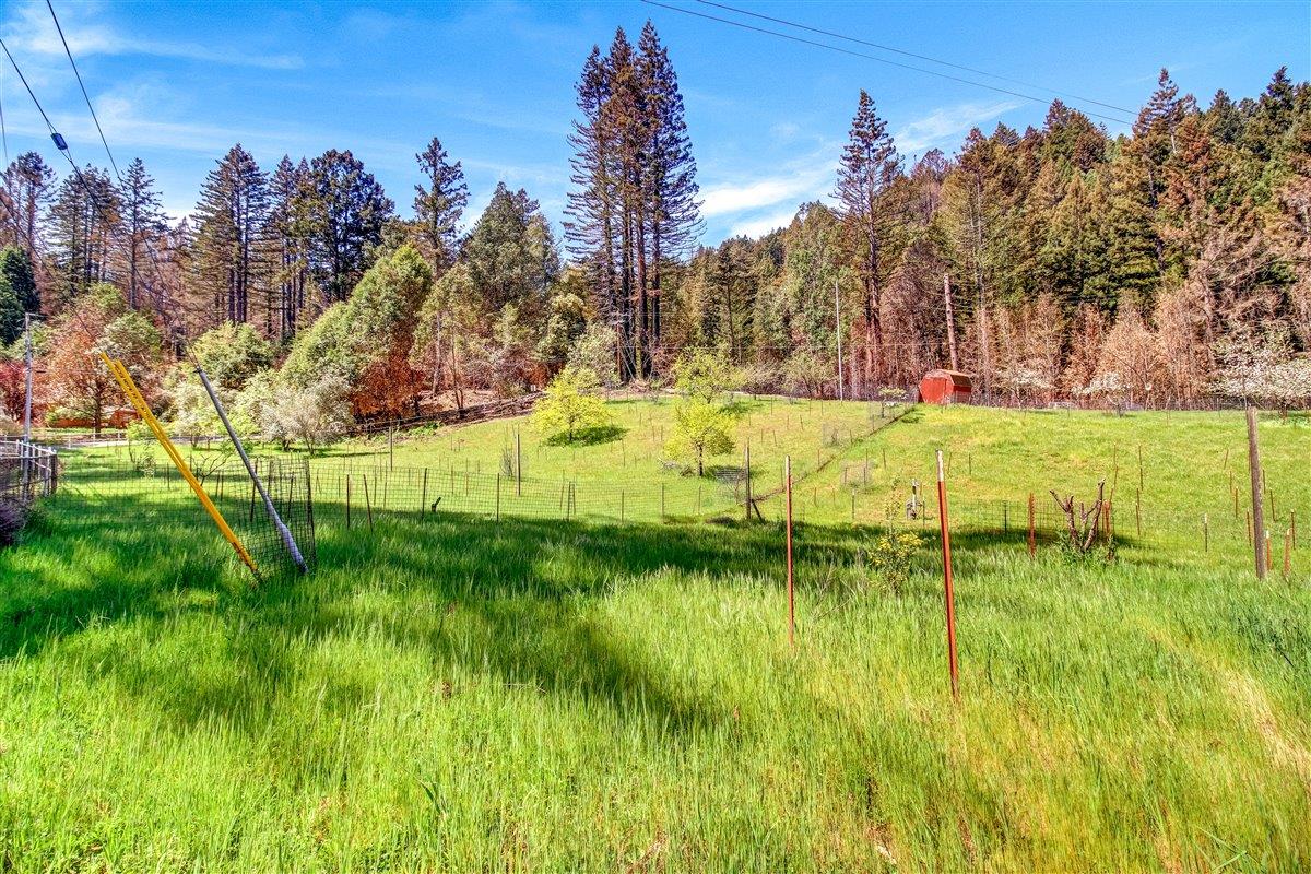 12250 Alba Road, BEN LOMOND, California 95005, ,Lots And Land,For Sale,Alba Road,40964273