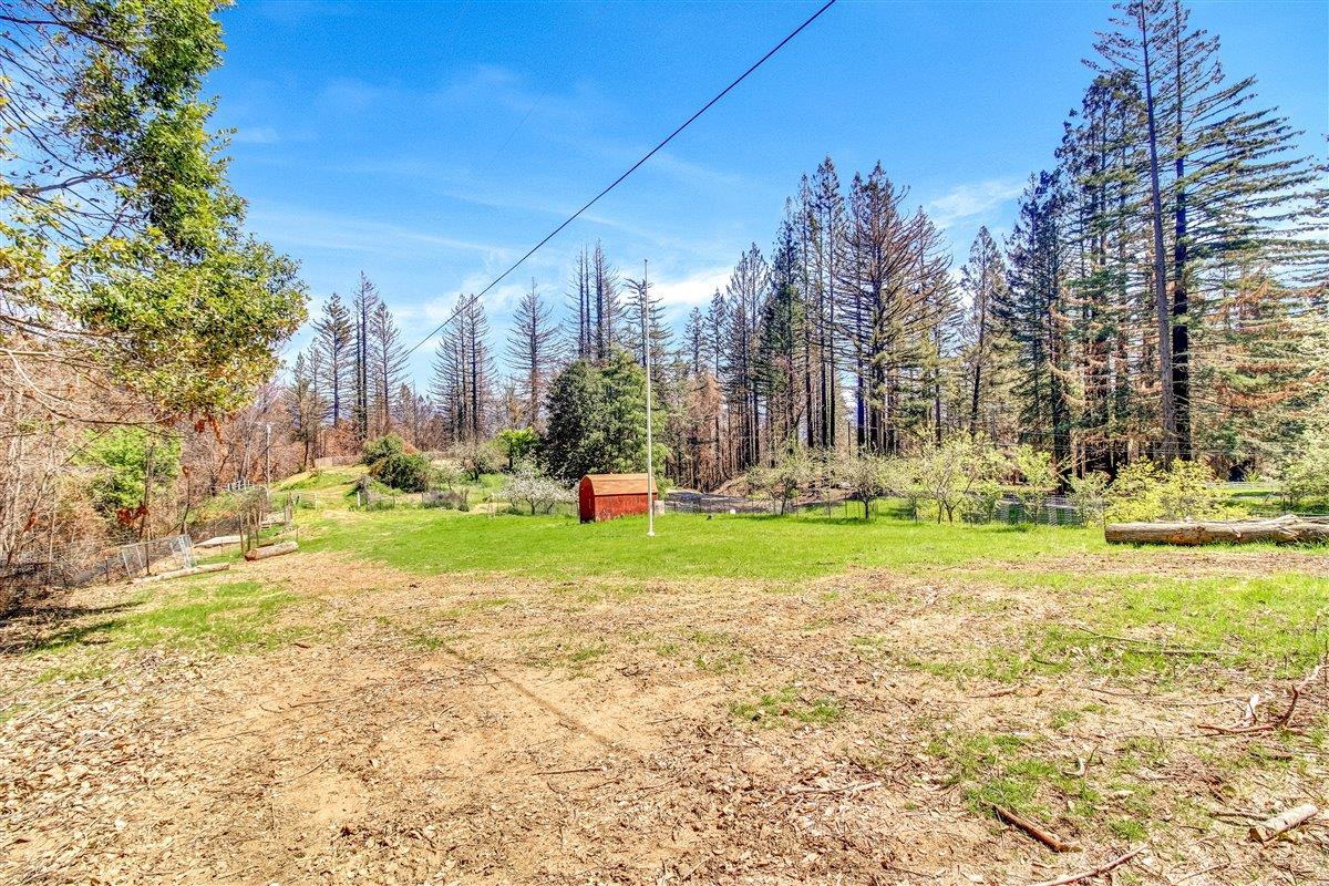 12250 Alba Road, BEN LOMOND, California 95005, ,Lots And Land,For Sale,Alba Road,40964273