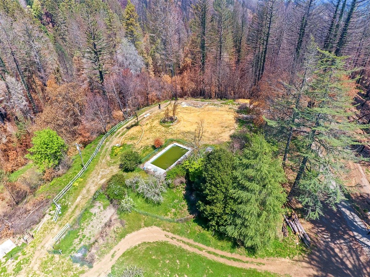 12250 Alba Road, BEN LOMOND, California 95005, ,Lots And Land,For Sale,Alba Road,40964273