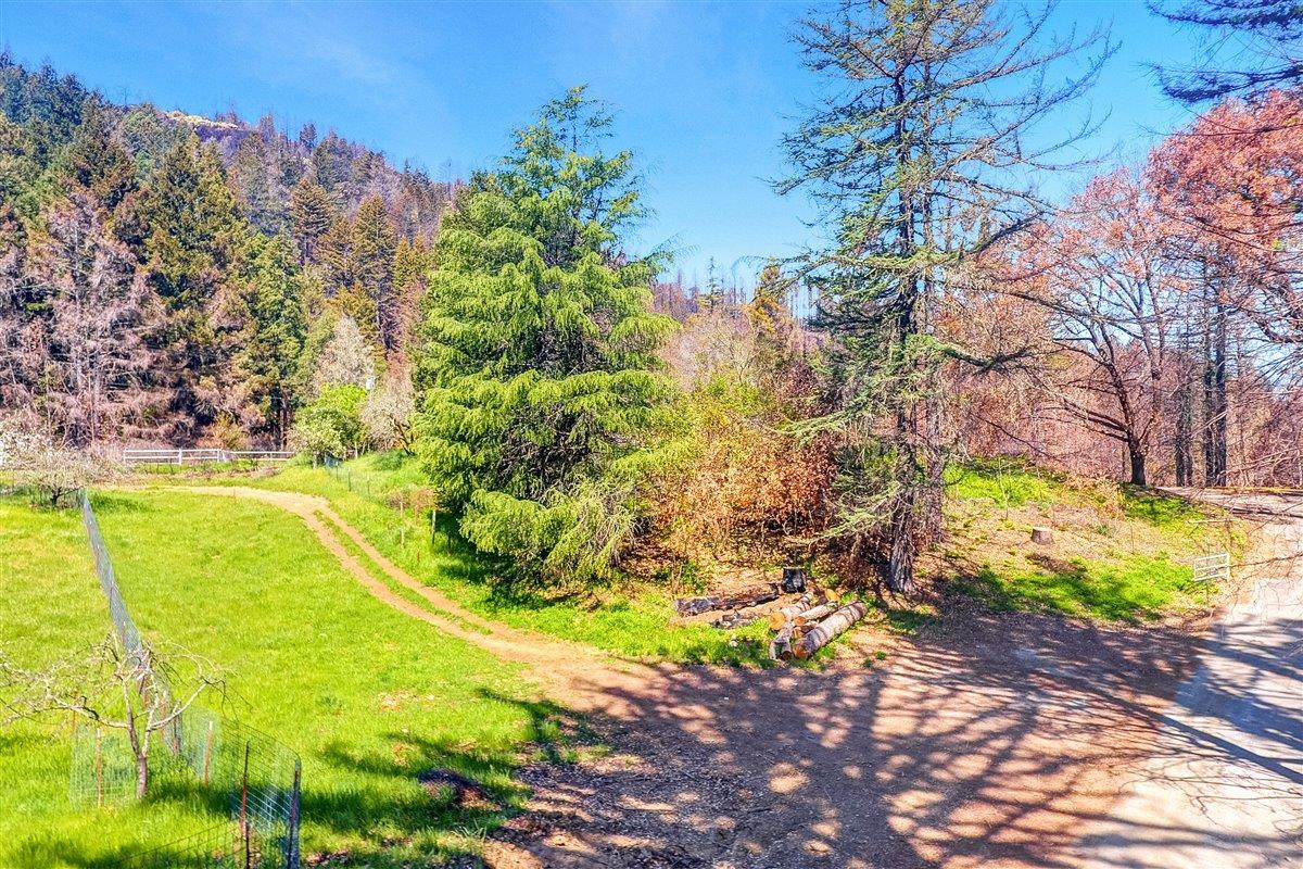 12250 Alba Road, BEN LOMOND, California 95005, ,Lots And Land,For Sale,Alba Road,40964273