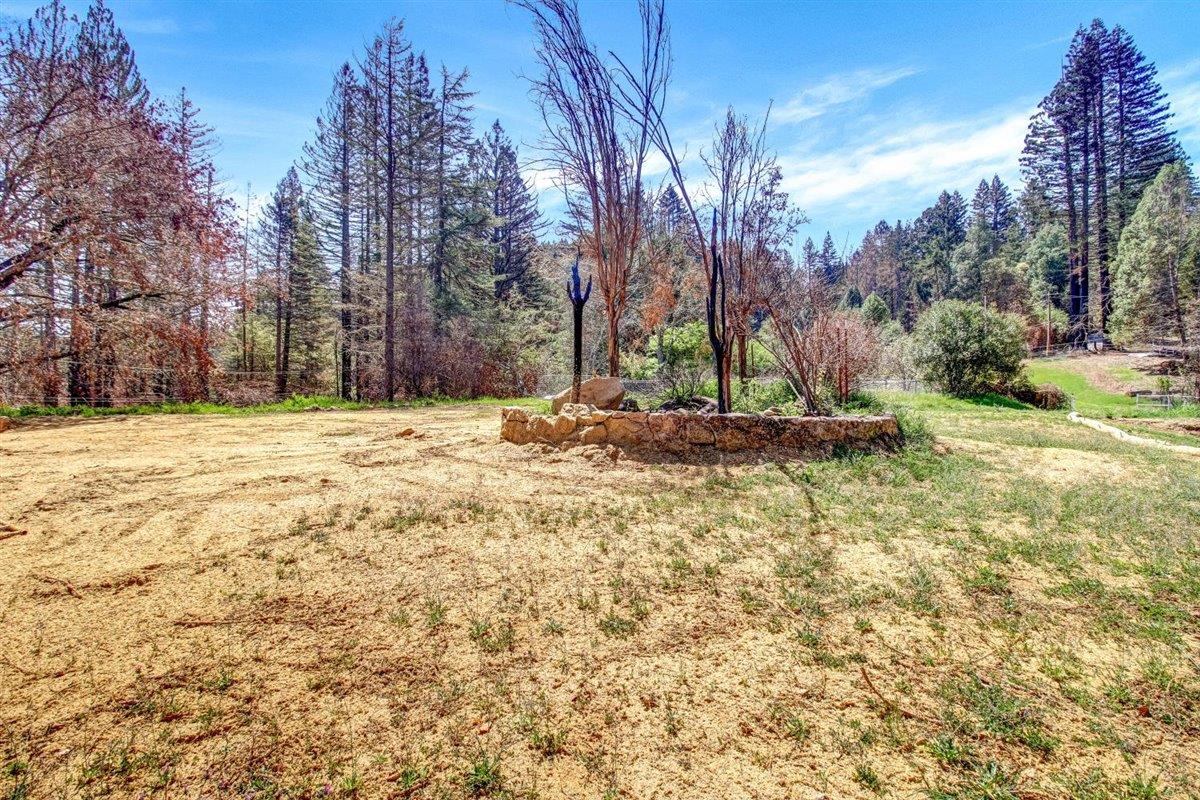 12250 Alba Road, BEN LOMOND, California 95005, ,Lots And Land,For Sale,Alba Road,40964273
