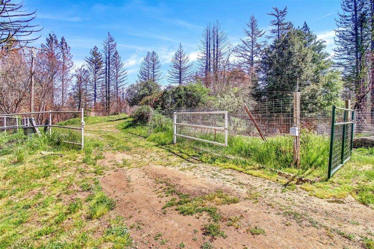 12250 Alba Road, BEN LOMOND, California 95005, ,Lots And Land,For Sale,Alba Road,40964273