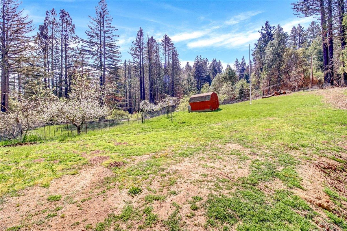 12250 Alba Road, BEN LOMOND, California 95005, ,Lots And Land,For Sale,Alba Road,40964273