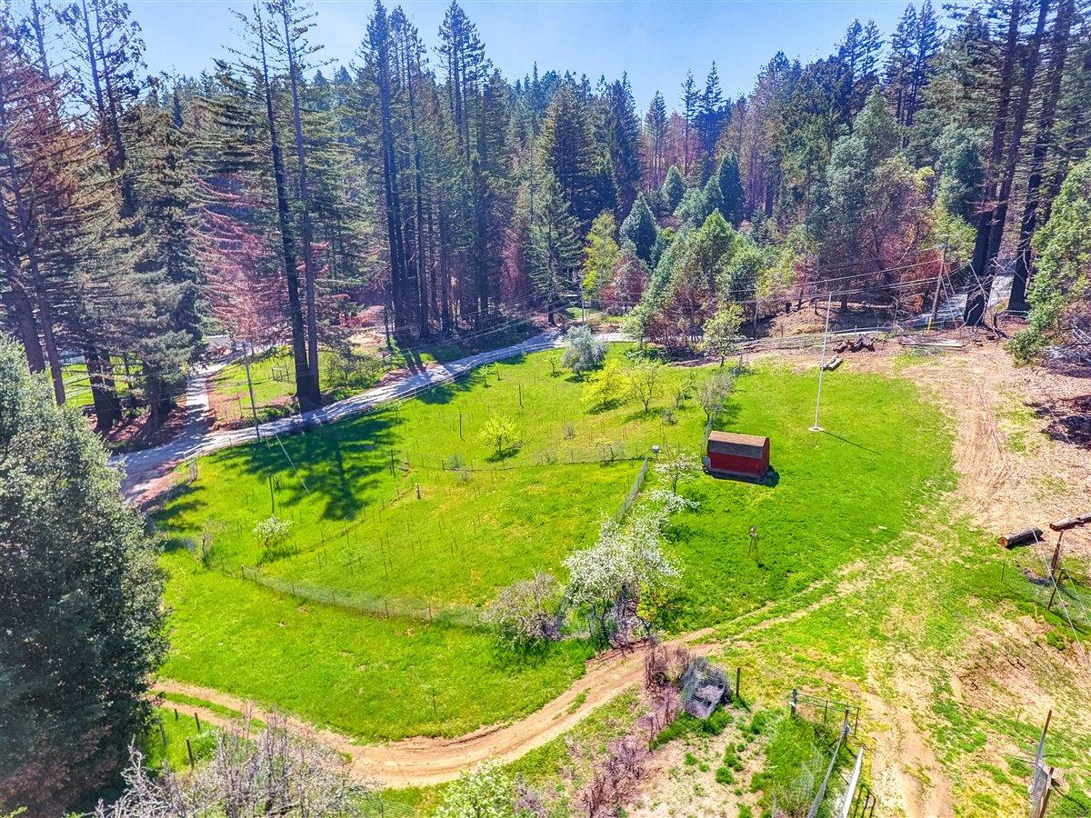 12250 Alba Road, BEN LOMOND, California 95005, ,Lots And Land,For Sale,Alba Road,40964273