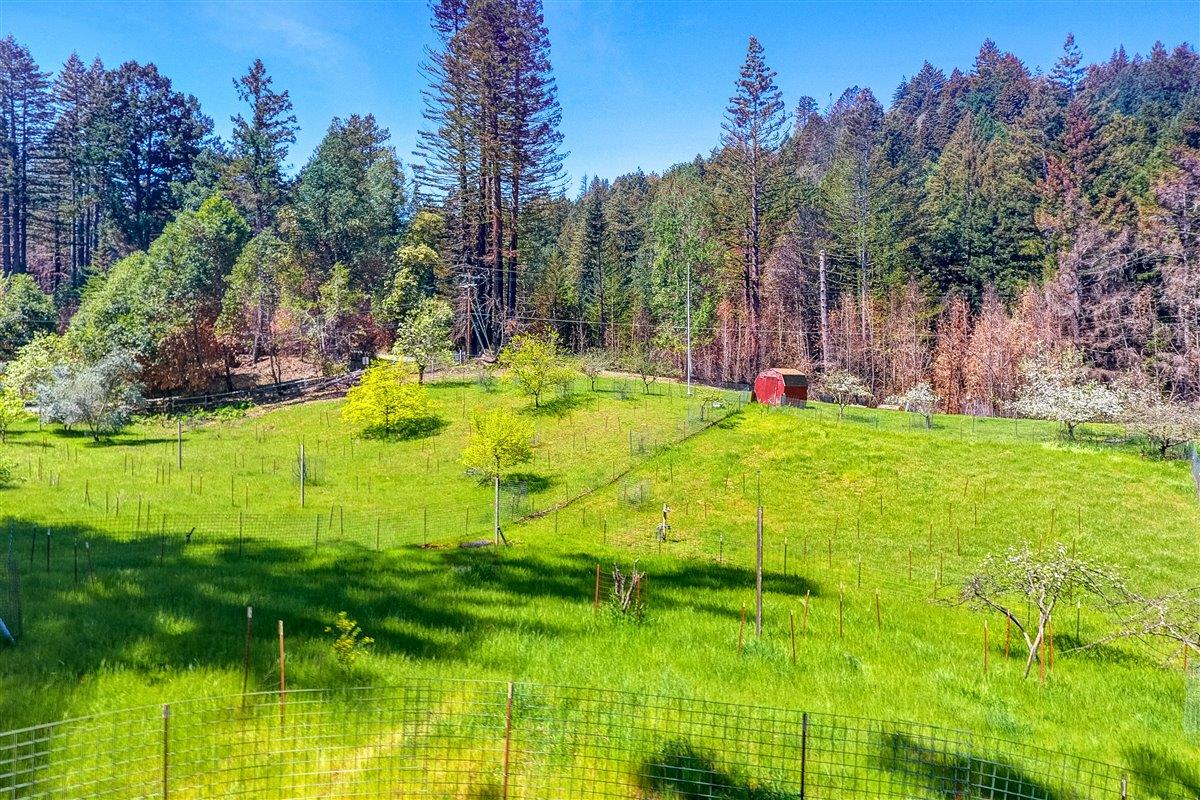 12250 Alba Road, BEN LOMOND, California 95005, ,Lots And Land,For Sale,Alba Road,40964273