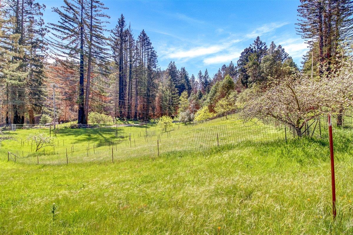 12250 Alba Road, BEN LOMOND, California 95005, ,Lots And Land,For Sale,Alba Road,40964273
