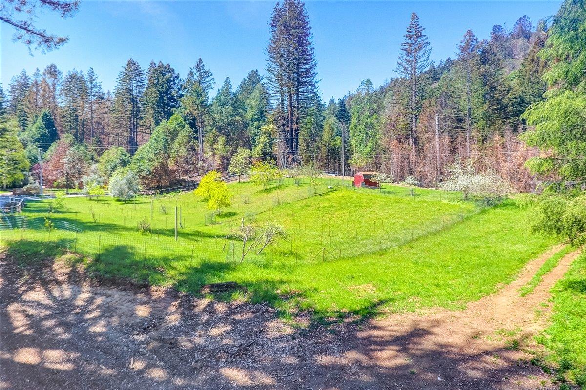 12250 Alba Road, BEN LOMOND, California 95005, ,Lots And Land,For Sale,Alba Road,40964273