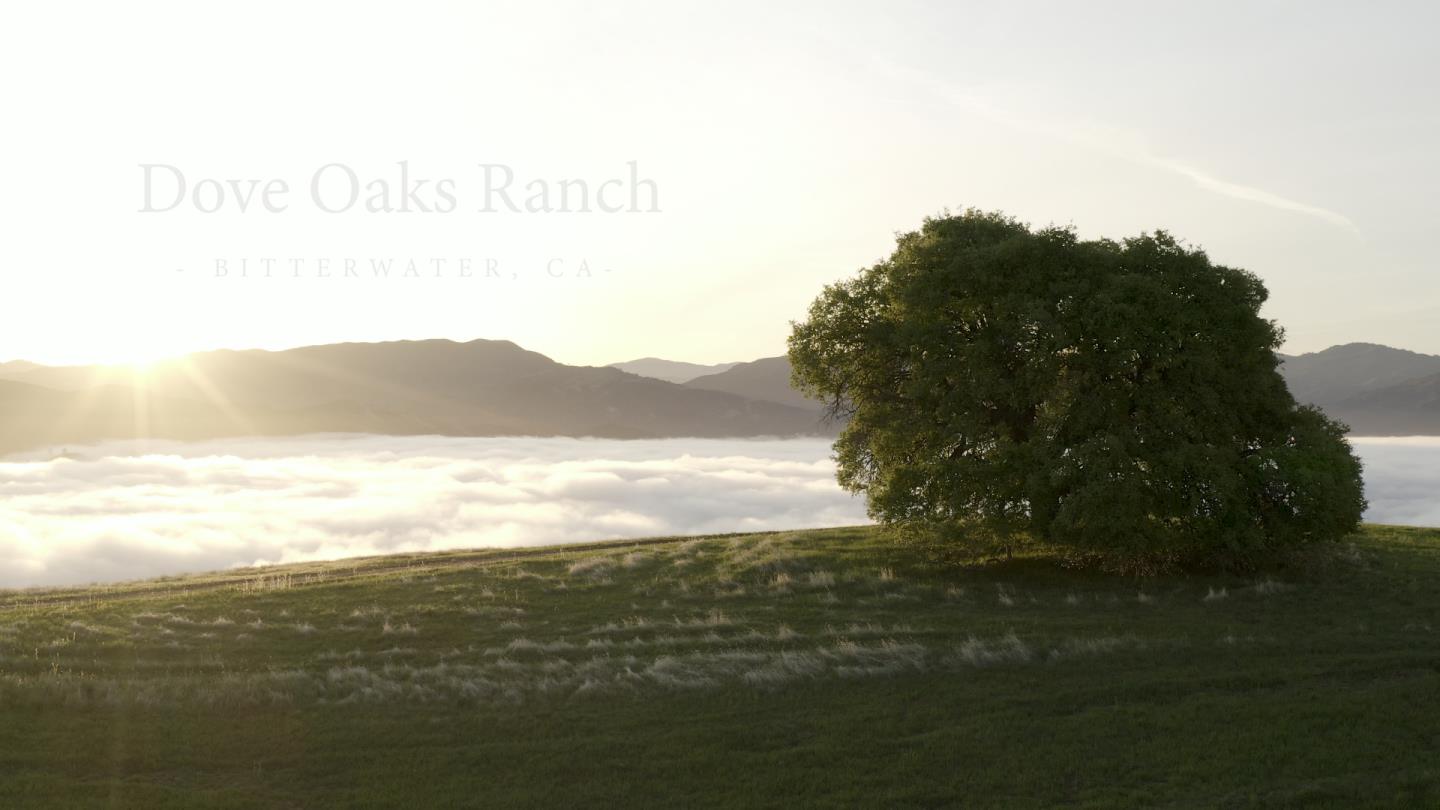 00 Coalinga Road, PAICINES, California 95043, ,Lots And Land,For Sale,Coalinga Road,40964274