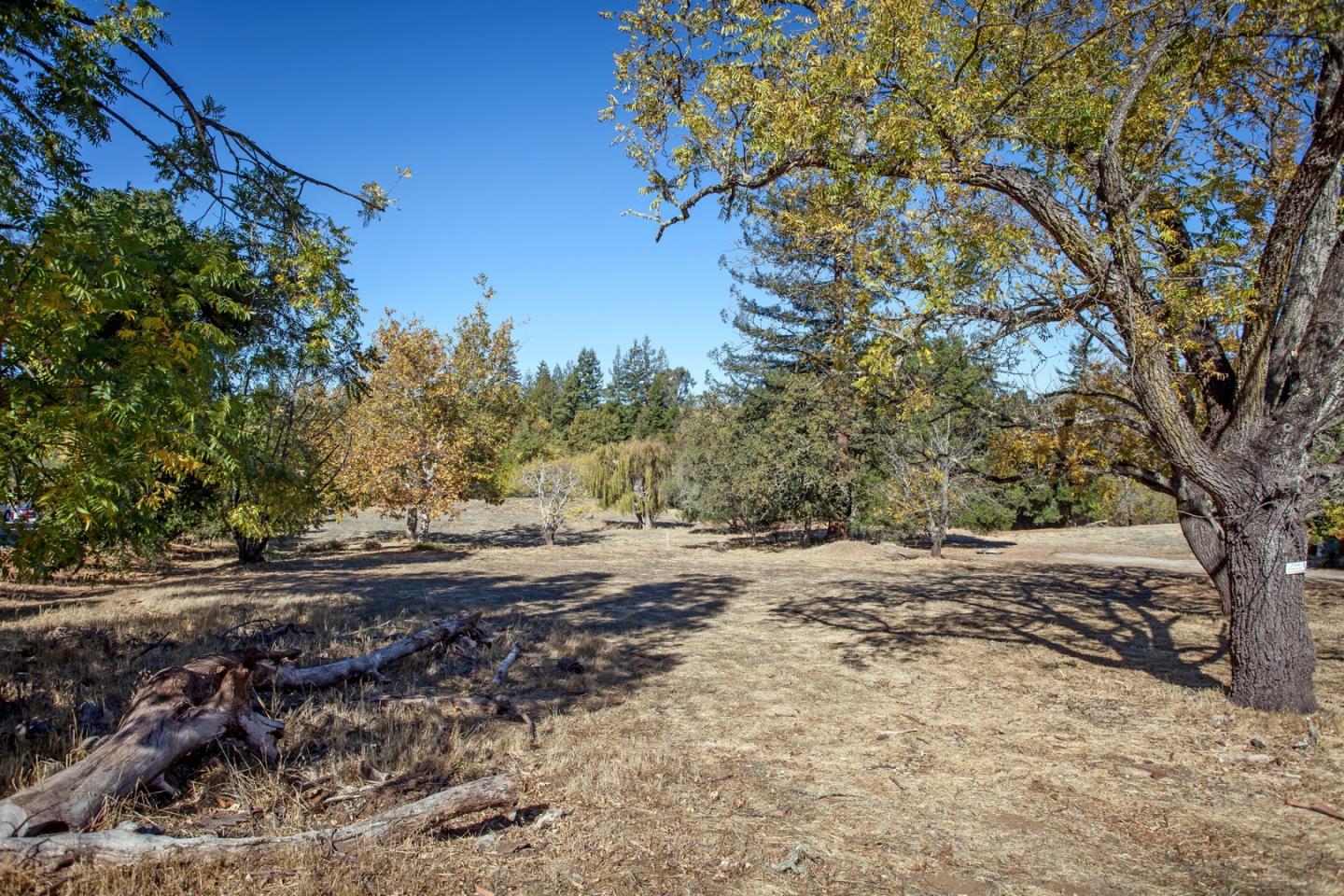 4394 Alpine Road, PORTOLA VALLEY, California 94028, ,Lots And Land,For Sale,Alpine Road,40964296