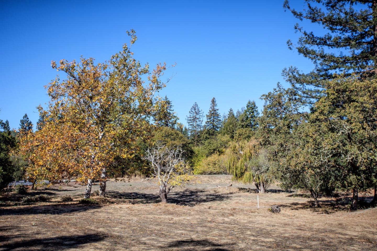 4394 Alpine Road, PORTOLA VALLEY, California 94028, ,Lots And Land,For Sale,Alpine Road,40964296