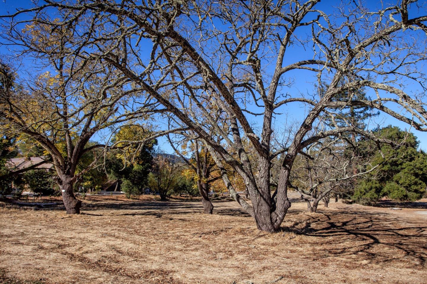 4394 Alpine Road, PORTOLA VALLEY, California 94028, ,Lots And Land,For Sale,Alpine Road,40964296