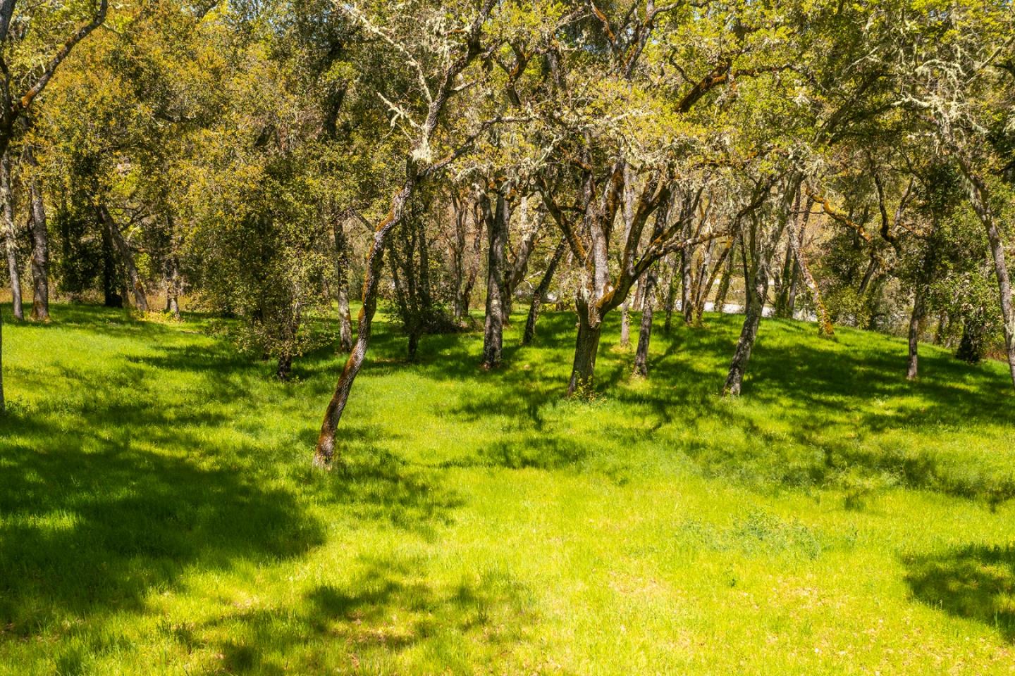 4 San Clemente Trail, CARMEL, California 93923, ,Lots And Land,For Sale,San Clemente Trail,40964318
