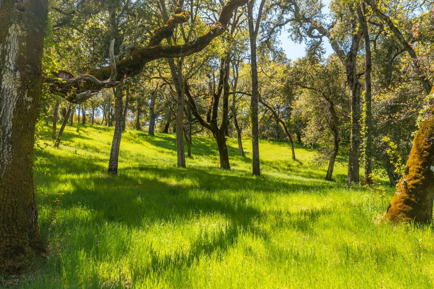 4 San Clemente Trail, CARMEL, California 93923, ,Lots And Land,For Sale,San Clemente Trail,40964318