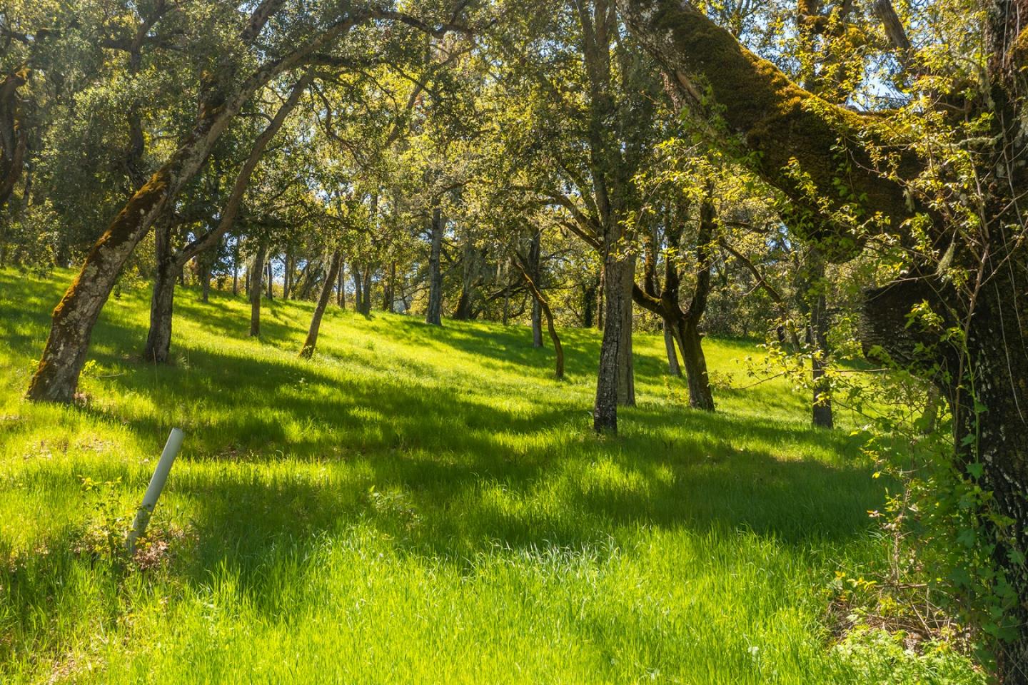 4 San Clemente Trail, CARMEL, California 93923, ,Lots And Land,For Sale,San Clemente Trail,40964318