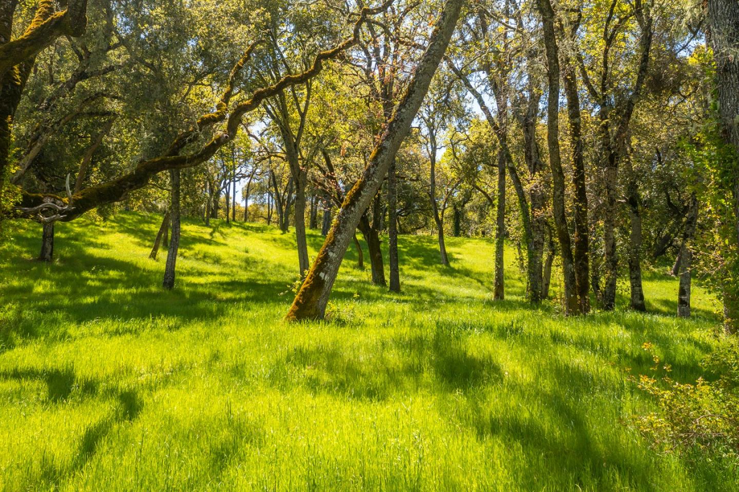 4 San Clemente Trail, CARMEL, California 93923, ,Lots And Land,For Sale,San Clemente Trail,40964318