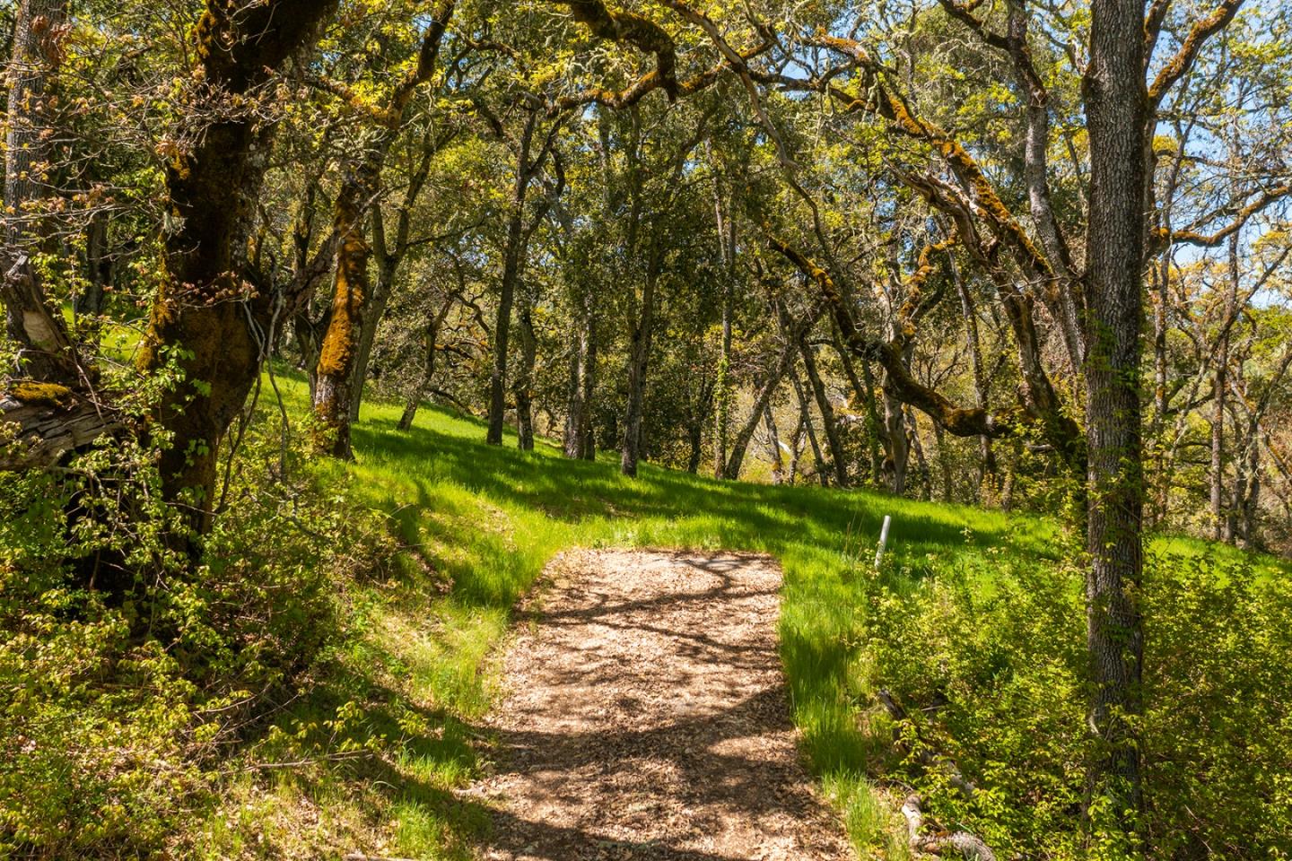 4 San Clemente Trail, CARMEL, California 93923, ,Lots And Land,For Sale,San Clemente Trail,40964318