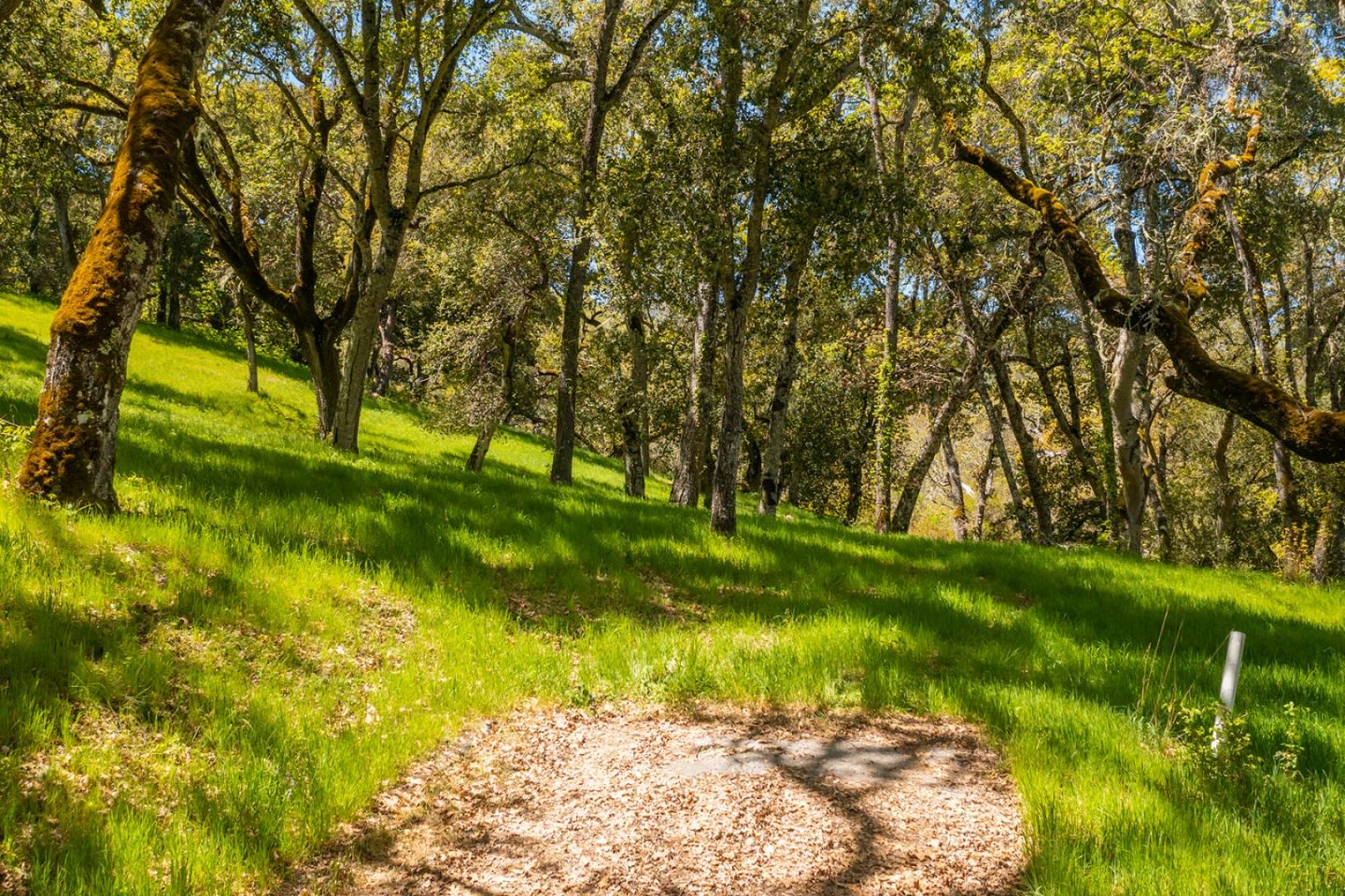 4 San Clemente Trail, CARMEL, California 93923, ,Lots And Land,For Sale,San Clemente Trail,40964318