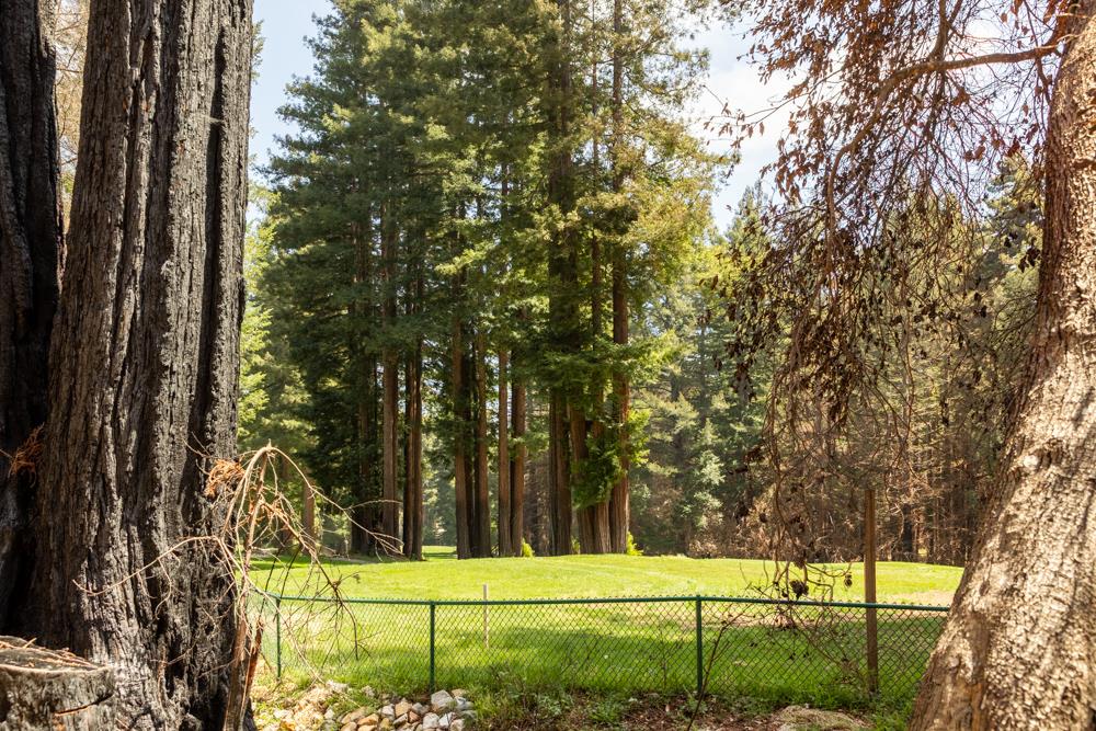 337 Hilton Drive, BOULDER CREEK, California 95006, ,Lots And Land,For Sale,Hilton Drive,40964319