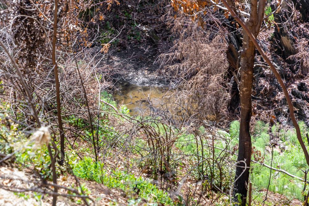 337 Hilton Drive, BOULDER CREEK, California 95006, ,Lots And Land,For Sale,Hilton Drive,40964319