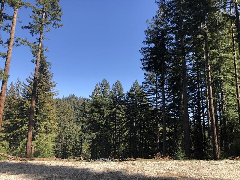 0 Little Buck Road, BOULDER CREEK, California 95006, ,Lots And Land,For Sale,Little Buck Road,40964324