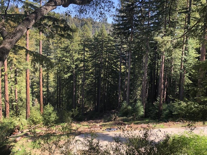 0 Little Buck Road, BOULDER CREEK, California 95006, ,Lots And Land,For Sale,Little Buck Road,40964324