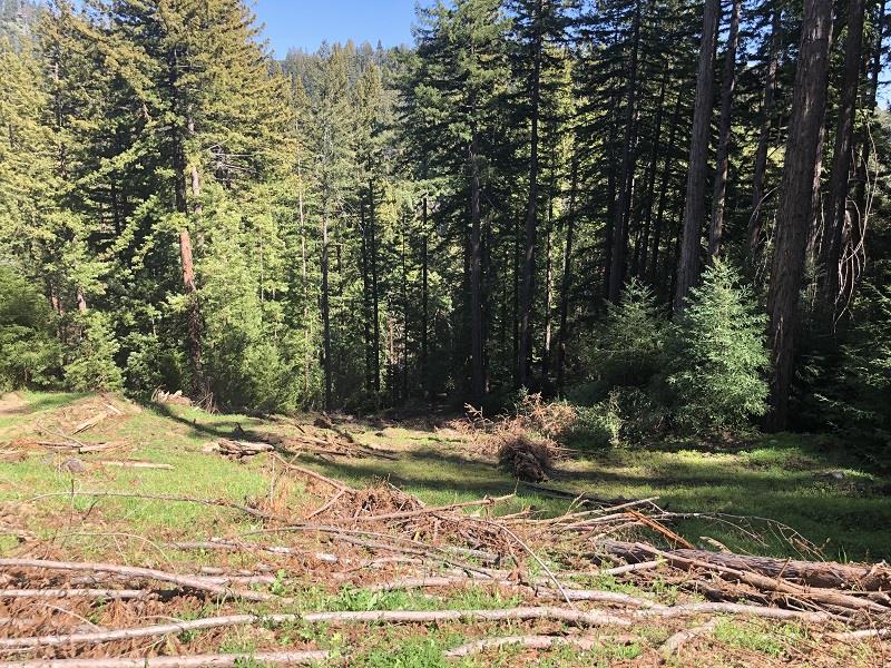 0 Little Buck Road, BOULDER CREEK, California 95006, ,Lots And Land,For Sale,Little Buck Road,40964324