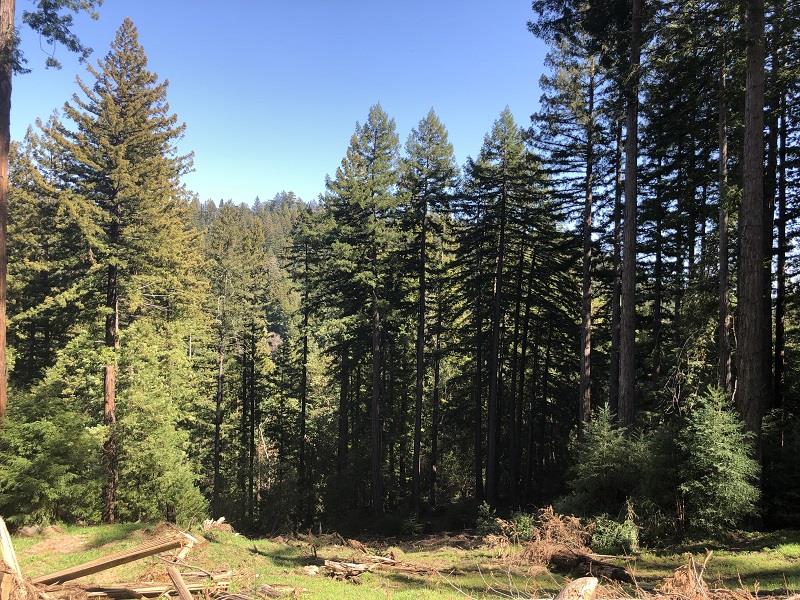 0 Little Buck Road, BOULDER CREEK, California 95006, ,Lots And Land,For Sale,Little Buck Road,40964324
