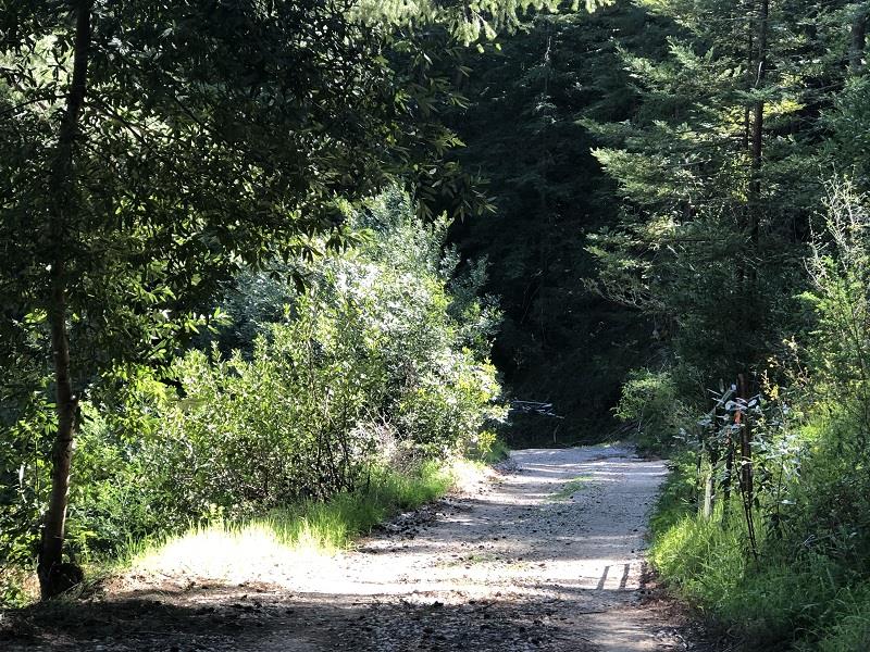 0 Little Buck Road, BOULDER CREEK, California 95006, ,Lots And Land,For Sale,Little Buck Road,40964324