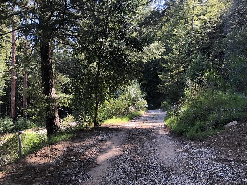 0 Little Buck Road, BOULDER CREEK, California 95006, ,Lots And Land,For Sale,Little Buck Road,40964324