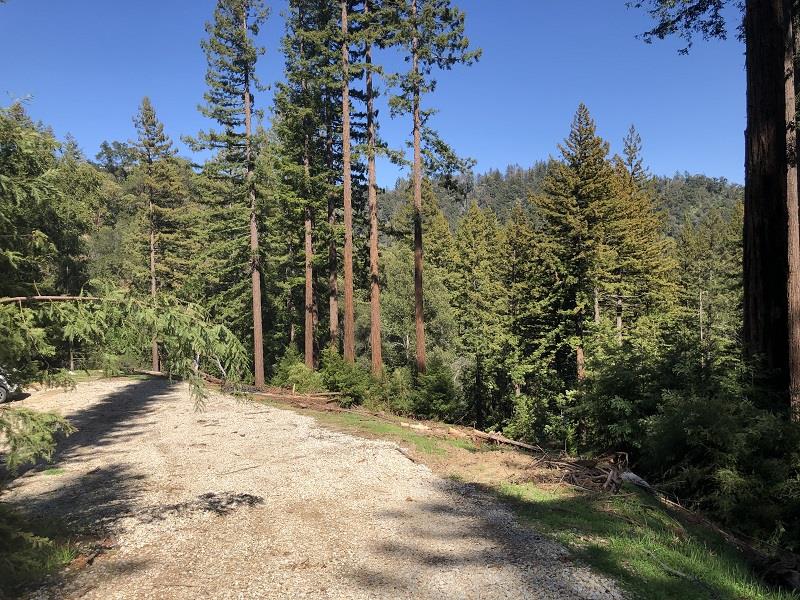 0 Little Buck Road, BOULDER CREEK, California 95006, ,Lots And Land,For Sale,Little Buck Road,40964324