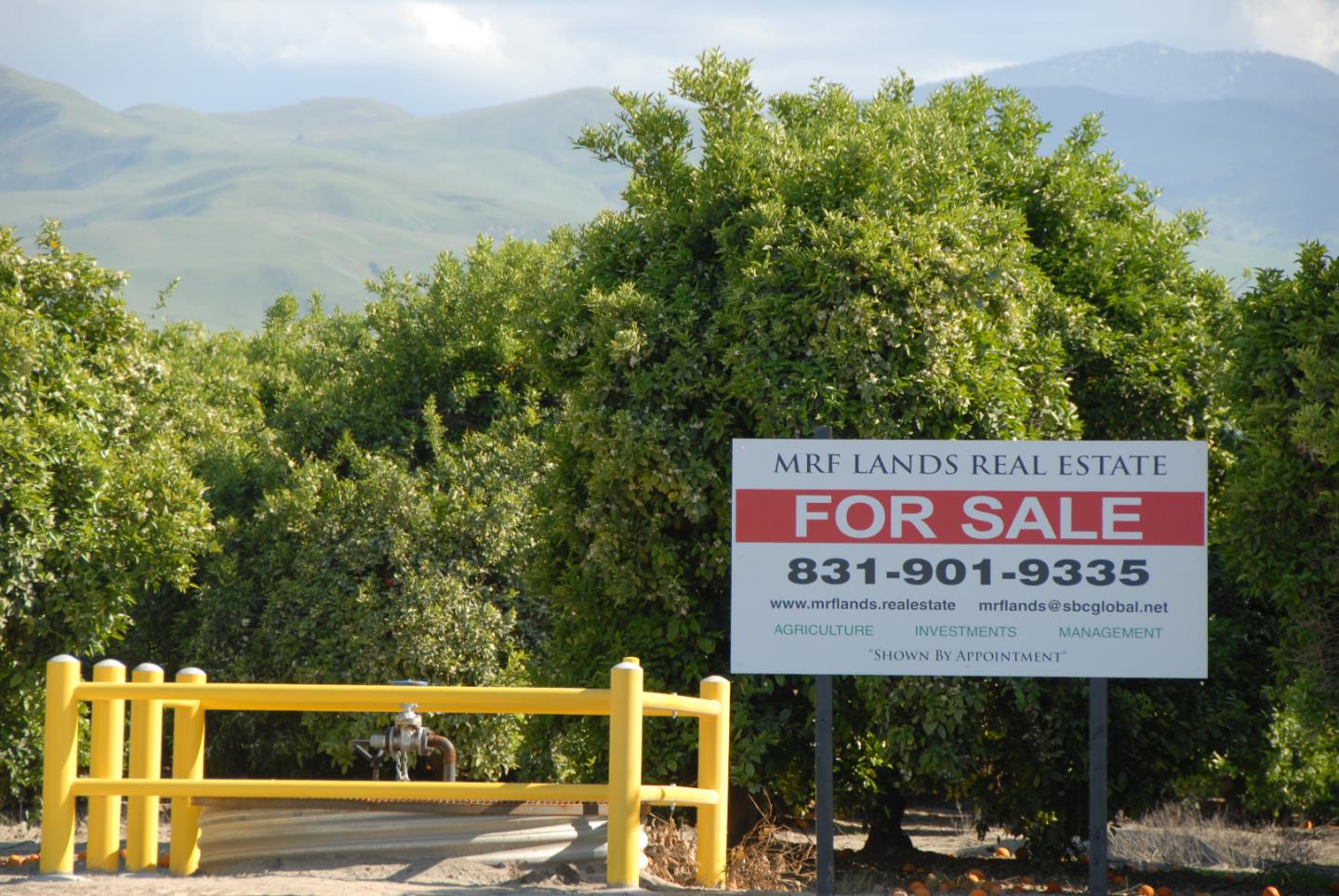 00 CA 166, OTHER - SEE REMARKS, California 93252, ,Comm Lots And Land,For Sale,CA 166,40964332