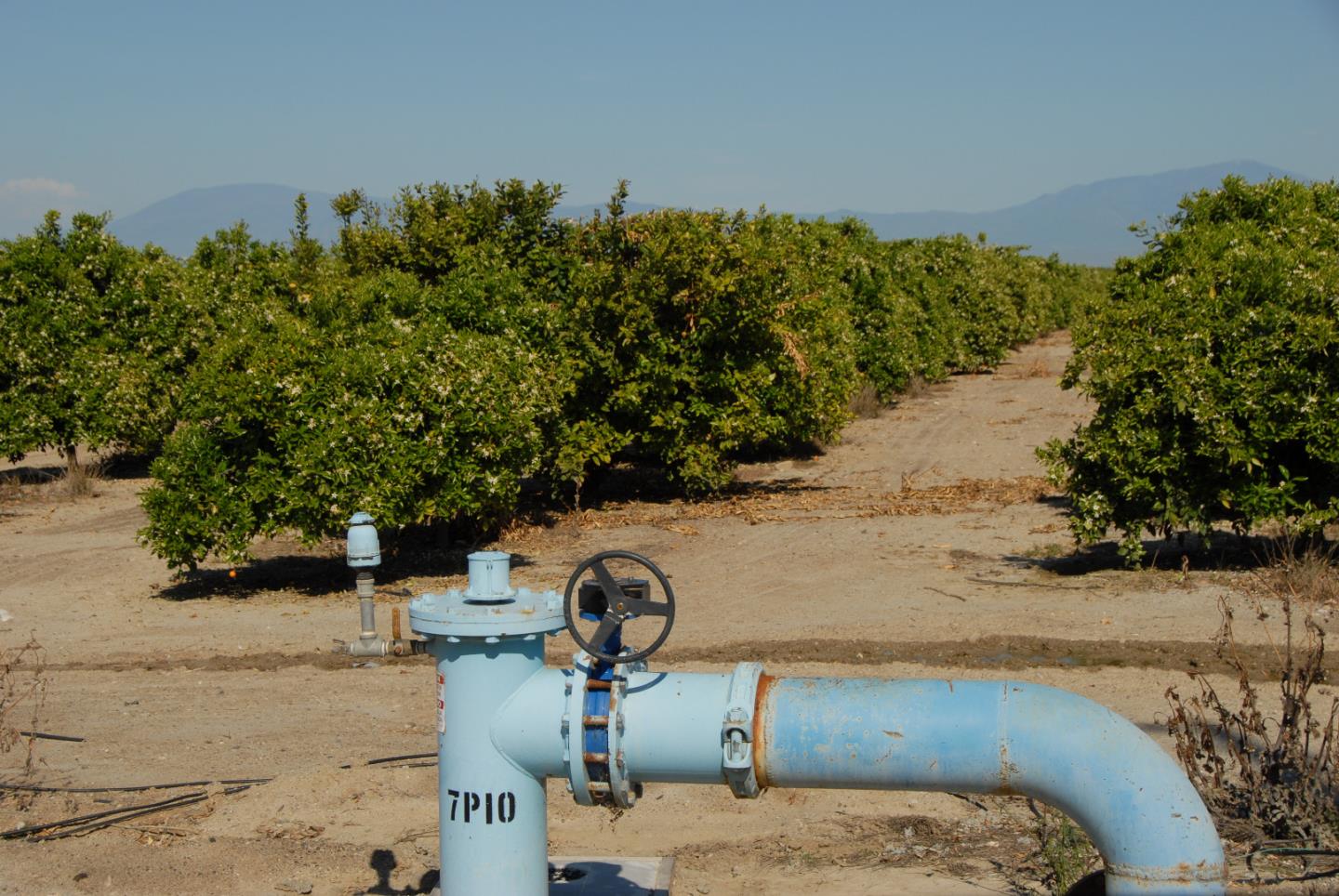 00 CA 166, OTHER - SEE REMARKS, California 93252, ,Comm Lots And Land,For Sale,CA 166,40964332