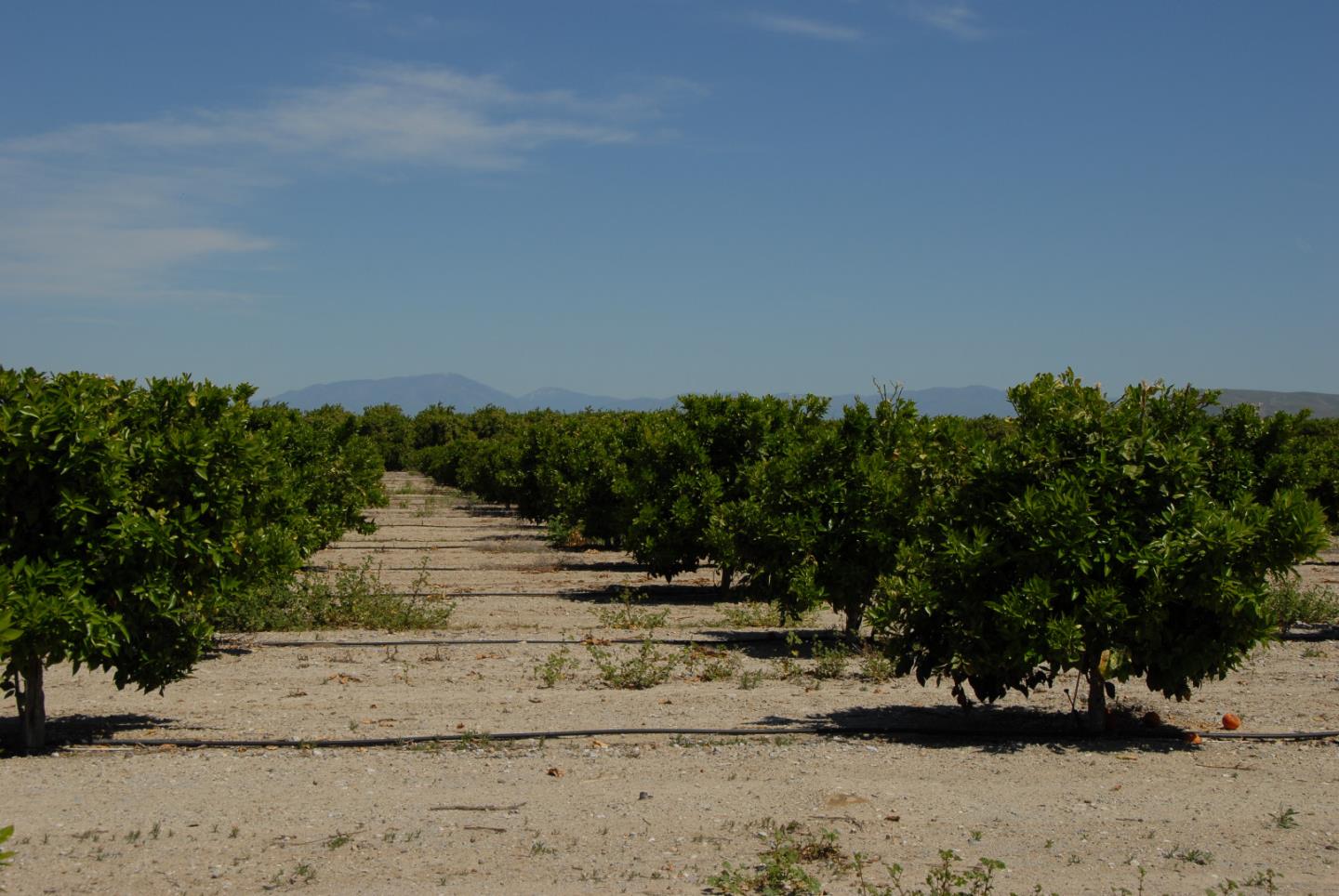 00 CA 166, OTHER - SEE REMARKS, California 93252, ,Comm Lots And Land,For Sale,CA 166,40964332