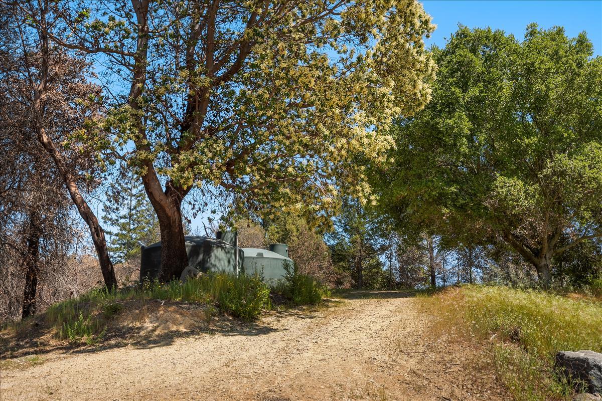 5187 Empire Grade, SANTA CRUZ, California 95060, ,Lots And Land,For Sale,Empire Grade,40964560