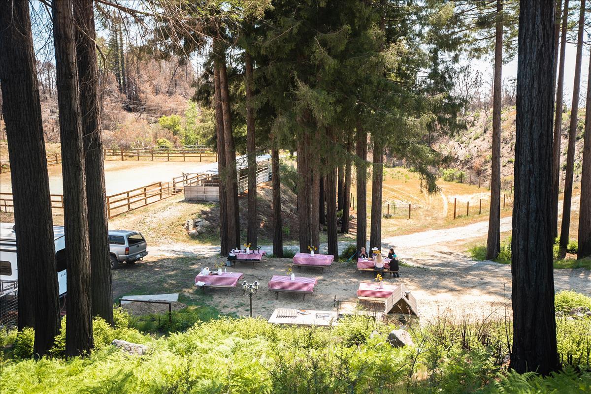 5187 Empire Grade, SANTA CRUZ, California 95060, ,Lots And Land,For Sale,Empire Grade,40964560