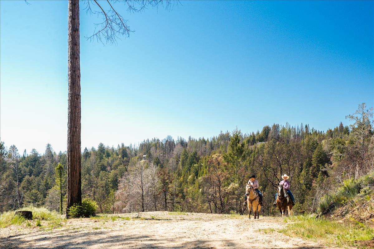 5187 Empire Grade, SANTA CRUZ, California 95060, ,Lots And Land,For Sale,Empire Grade,40964560
