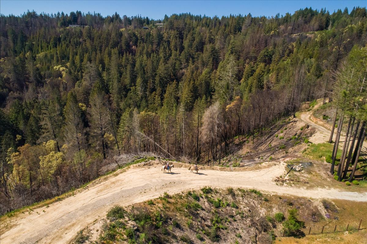 5187 Empire Grade, SANTA CRUZ, California 95060, ,Lots And Land,For Sale,Empire Grade,40964560
