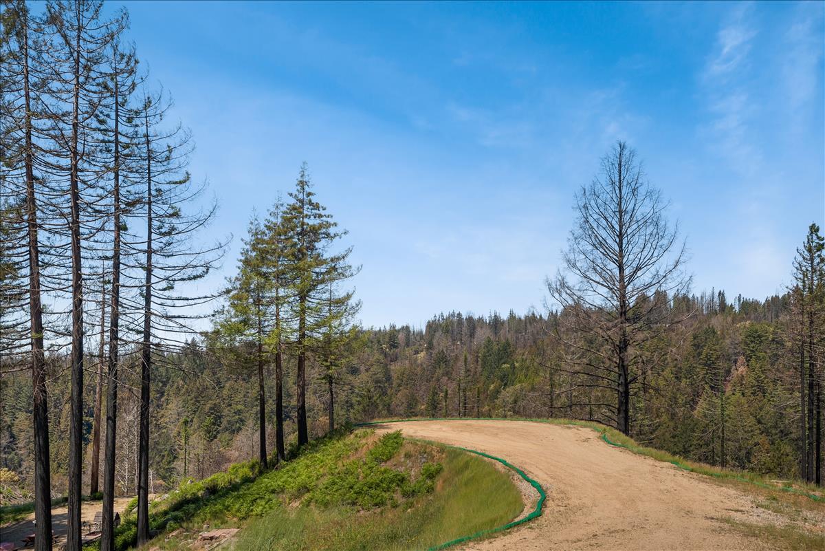 5187 Empire Grade, SANTA CRUZ, California 95060, ,Lots And Land,For Sale,Empire Grade,40964560