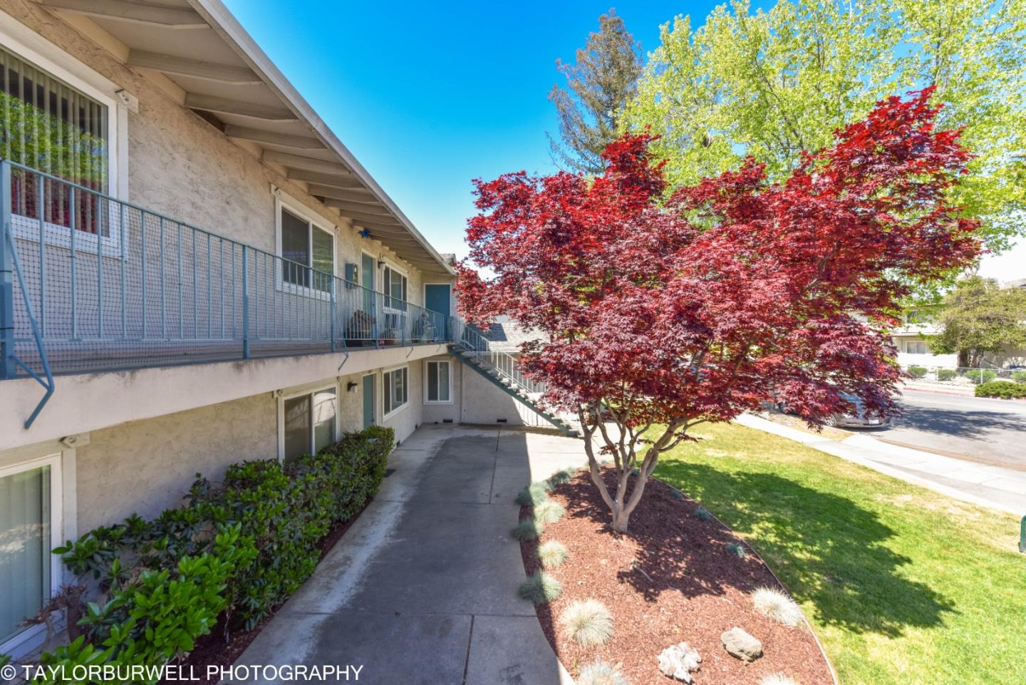 636 La Grande Drive, SUNNYVALE, California 94087, ,Comm Ri Multi-units 5+,For Sale,La Grande Drive,ML81841041