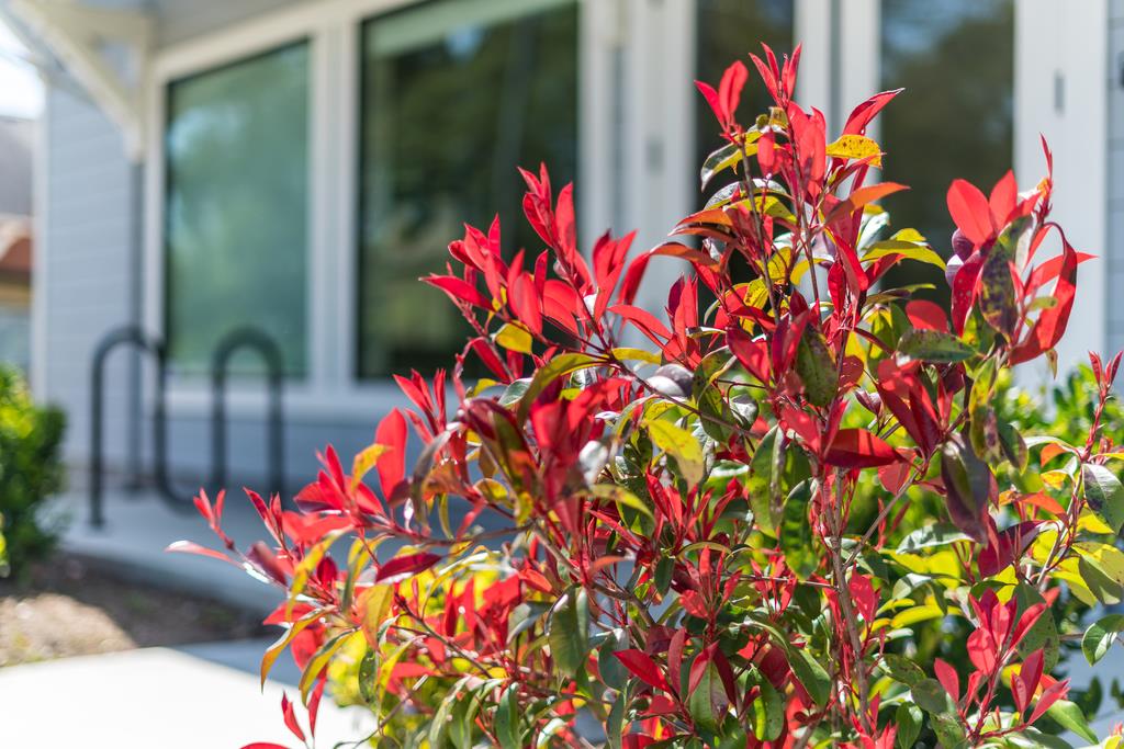 2601 Porter Street, SOQUEL, California 95073, ,Comm Industrial For Sale,For Sale,Porter Street,40964336