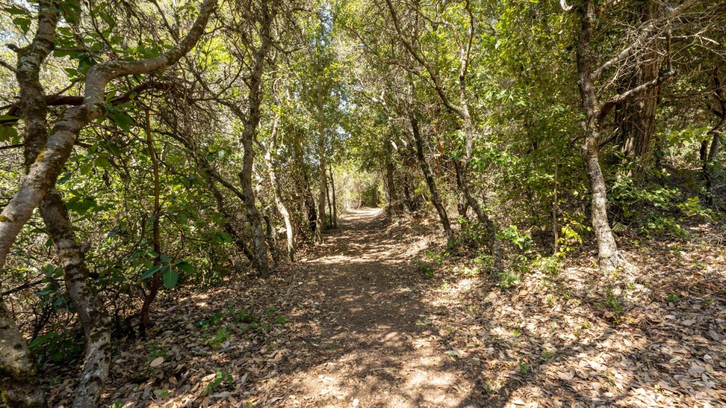 0 Summit Road, WATSONVILLE, California 95076, ,Lots And Land,For Sale,Summit Road,40964368