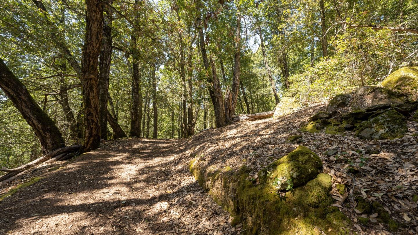 0 Summit Road, WATSONVILLE, California 95076, ,Lots And Land,For Sale,Summit Road,40964368
