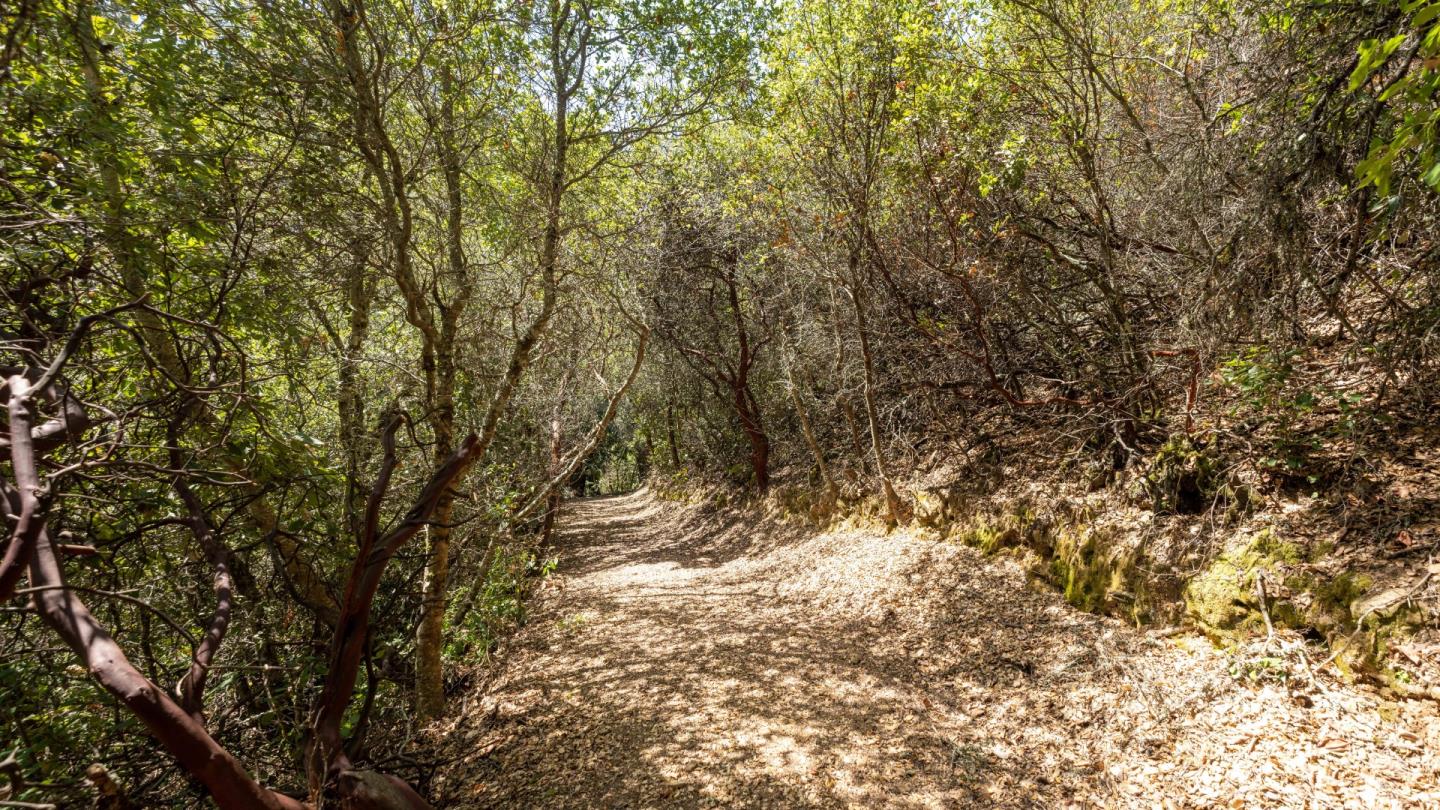 0 Summit Road, WATSONVILLE, California 95076, ,Lots And Land,For Sale,Summit Road,40964368