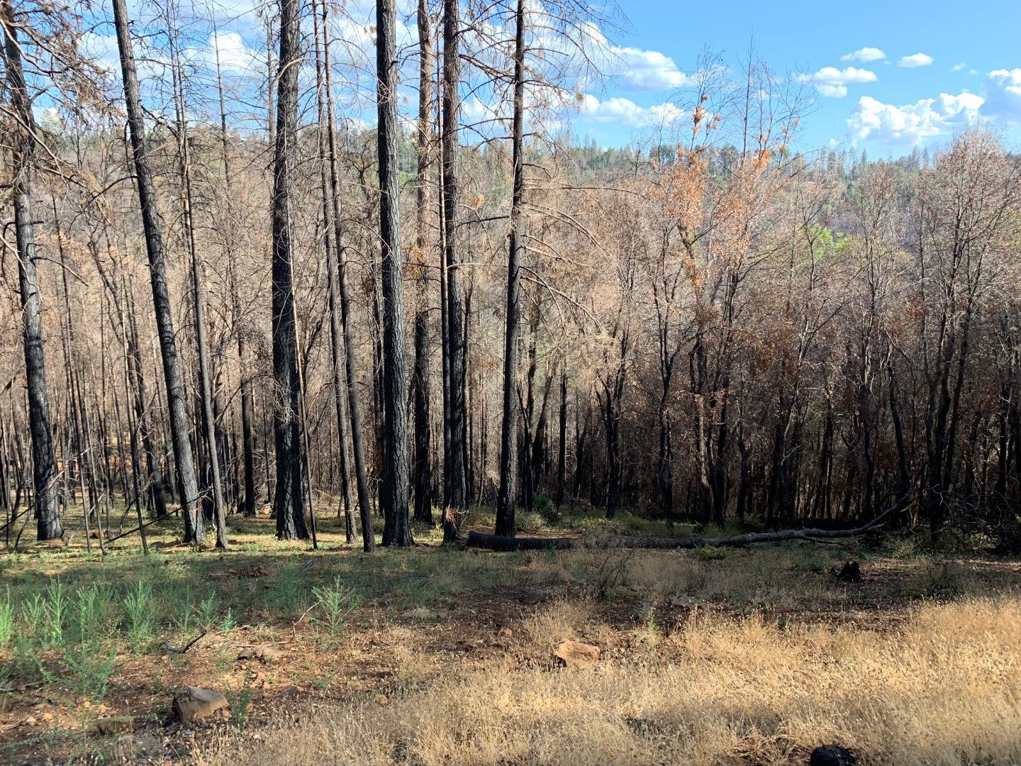 6504 Staten Court, MAGALIA, California 95954, ,Lots And Land,For Sale,Staten Court,40964383