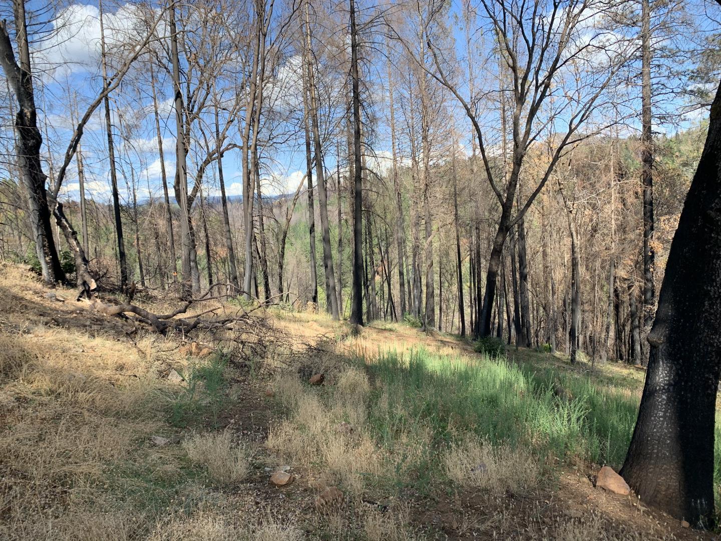 6504 Staten Court, MAGALIA, California 95954, ,Lots And Land,For Sale,Staten Court,40964383