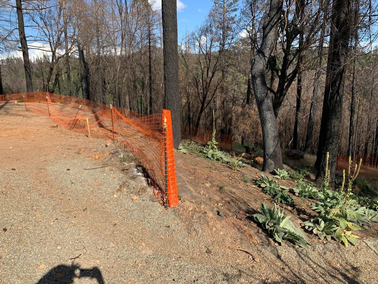 6504 Staten Court, MAGALIA, California 95954, ,Lots And Land,For Sale,Staten Court,40964383