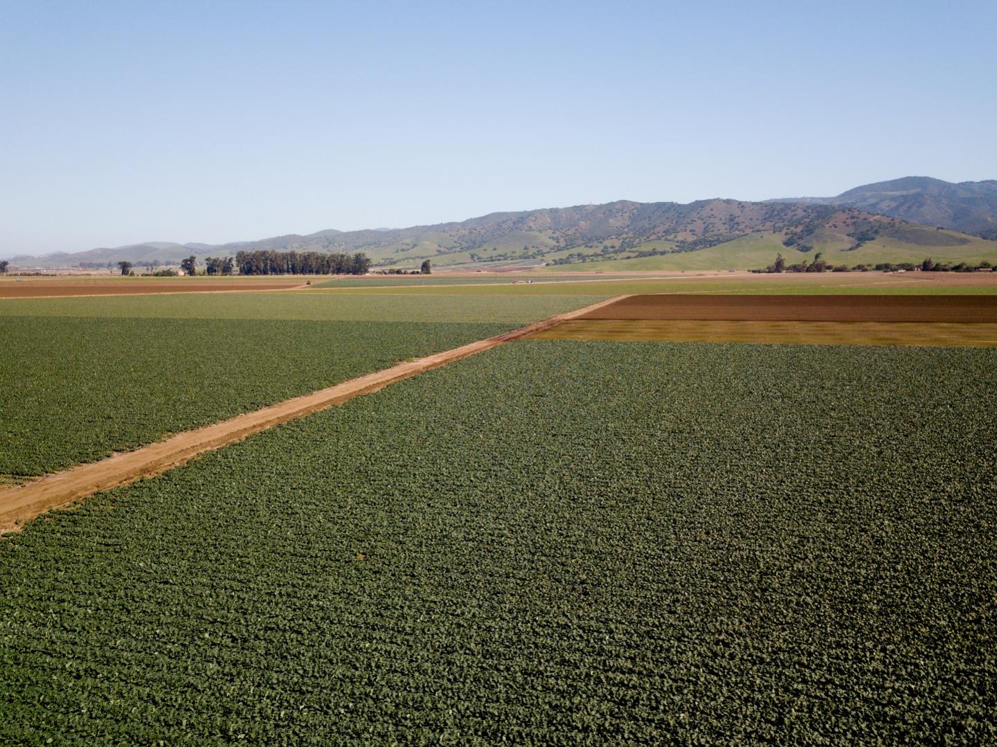 1559 Old Stage Road, SALINAS, California 93908, ,Comm Lots And Land,For Sale,Old Stage Road,40964387