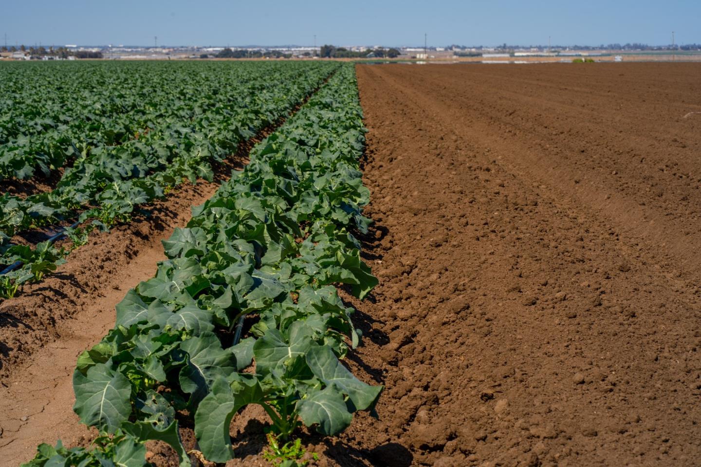 1559 Old Stage Road, SALINAS, California 93908, ,Comm Lots And Land,For Sale,Old Stage Road,40964387