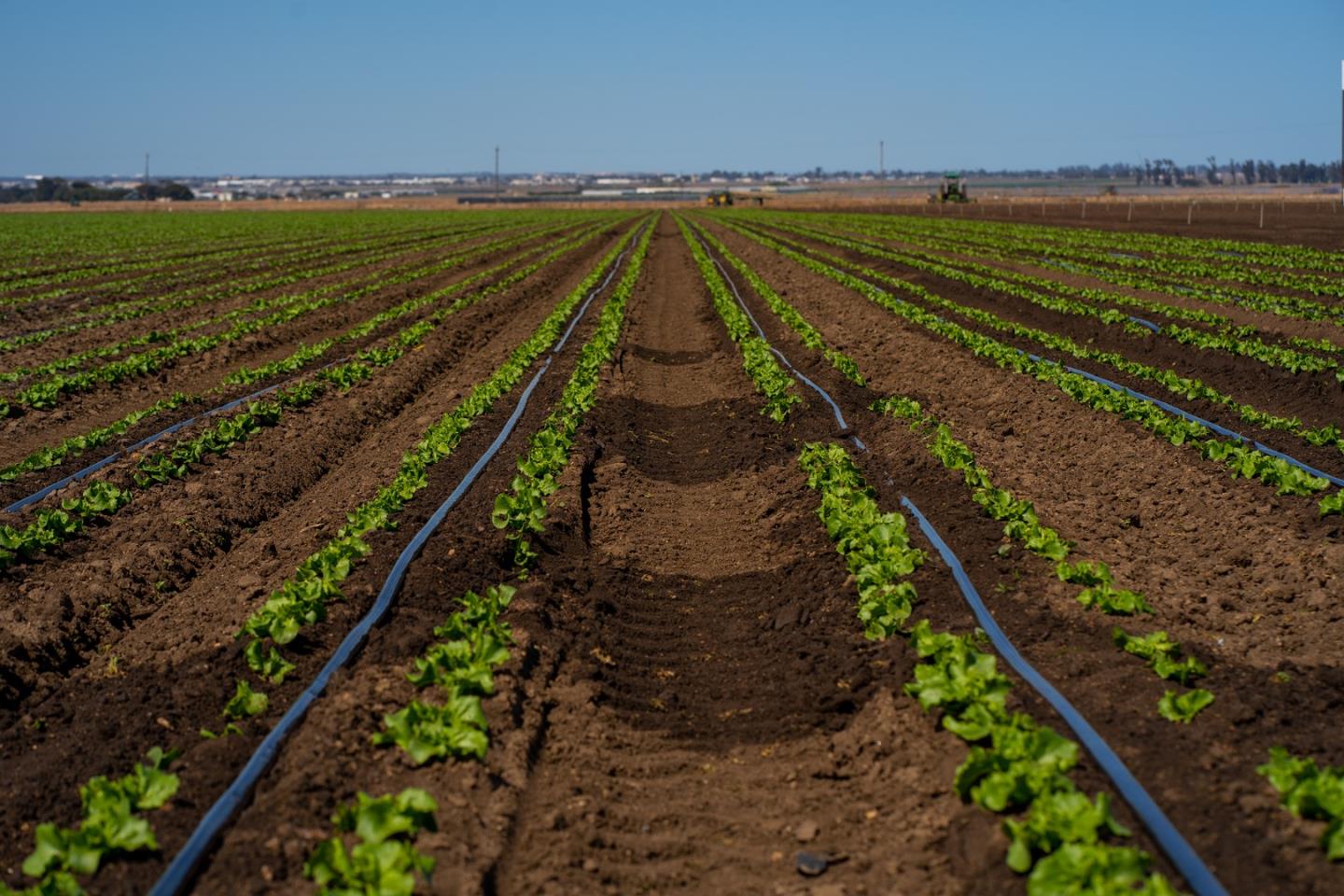 1559 Old Stage Road, SALINAS, California 93908, ,Comm Lots And Land,For Sale,Old Stage Road,40964387